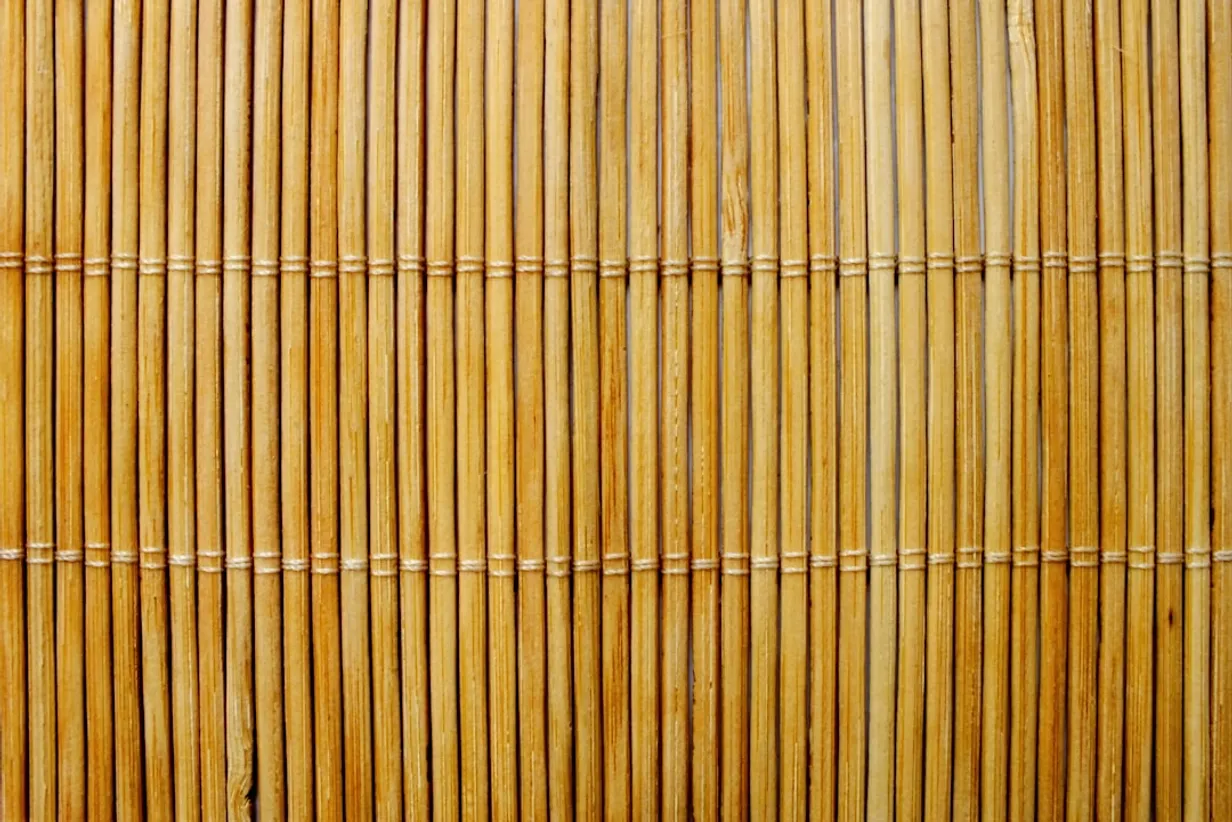 Eco-Friendly Window Treatments: Sustainable Choices for Every HomeIllustration