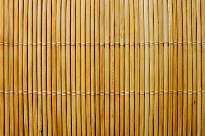 Eco-Friendly Window Treatments: Sustainable Choices for Every HomeIllustration